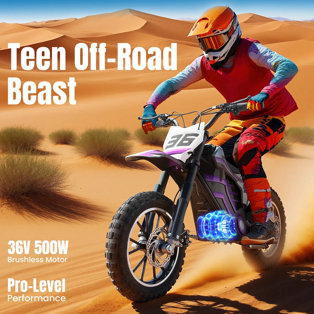 QEASET electric dirt bike, 500W kids dirt bike for Boys Girls Age 8-14, Blue